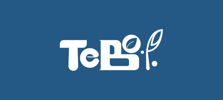 TeBo Case Study