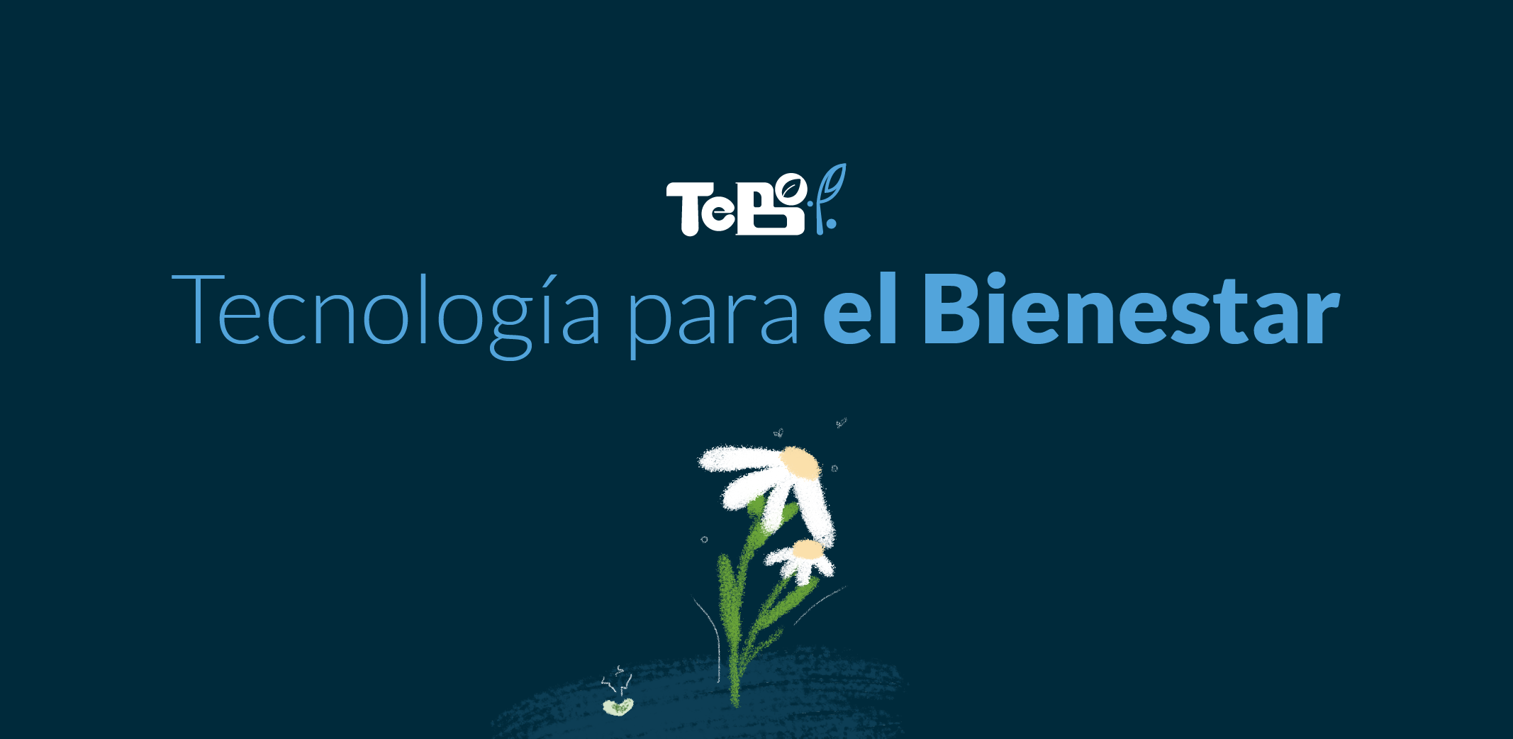 TeBo - Marca y experiencia de bienestar